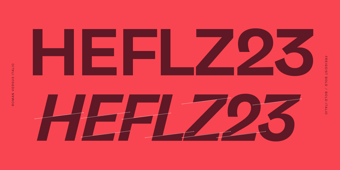 Example font Freigeist XWide #10